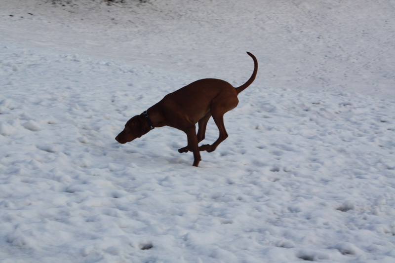 januar 003.jpg