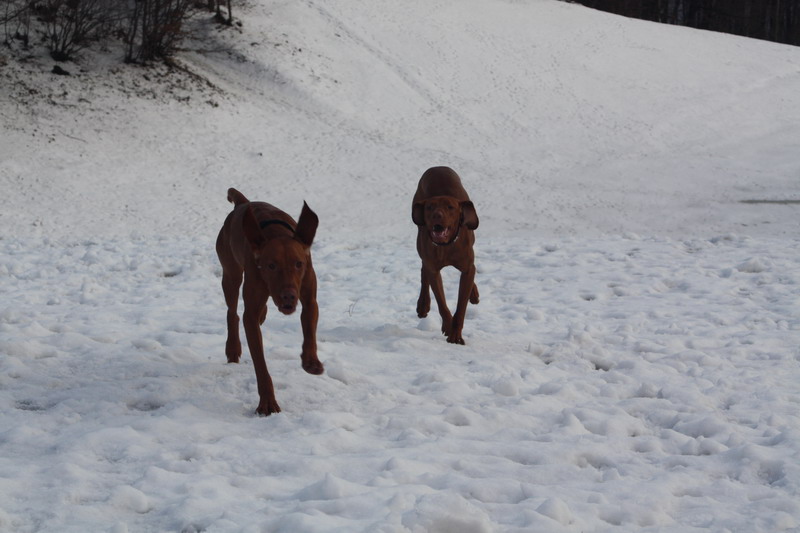 januar 026.jpg