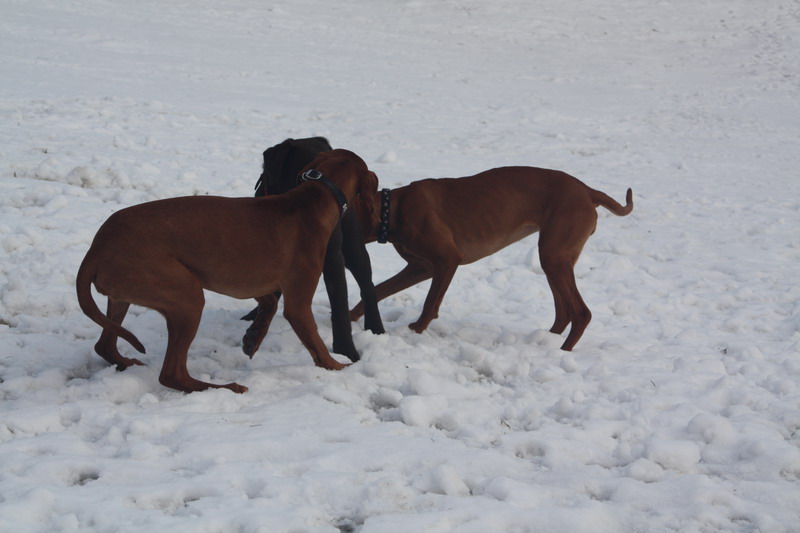 januar 043.jpg