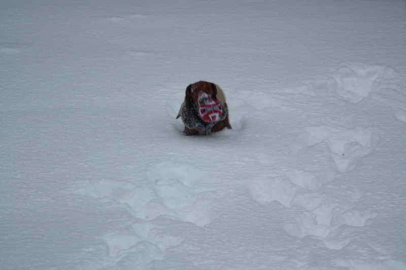 december 050.jpg