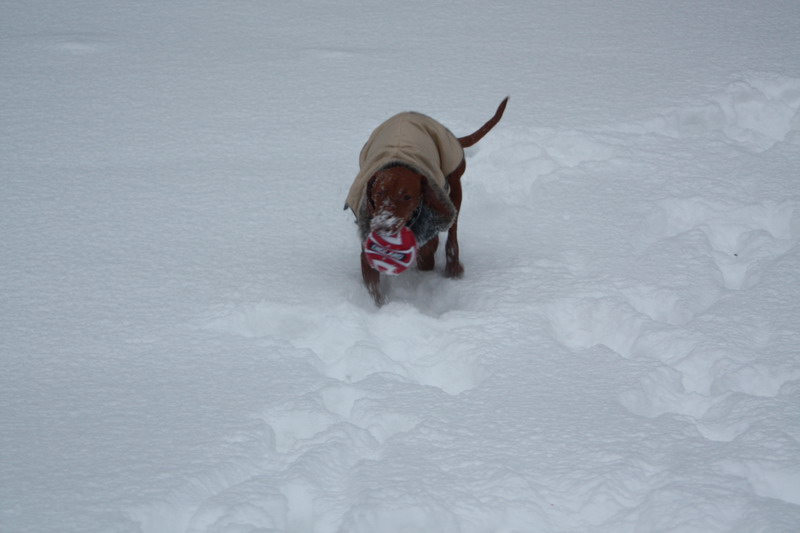 december 051.jpg