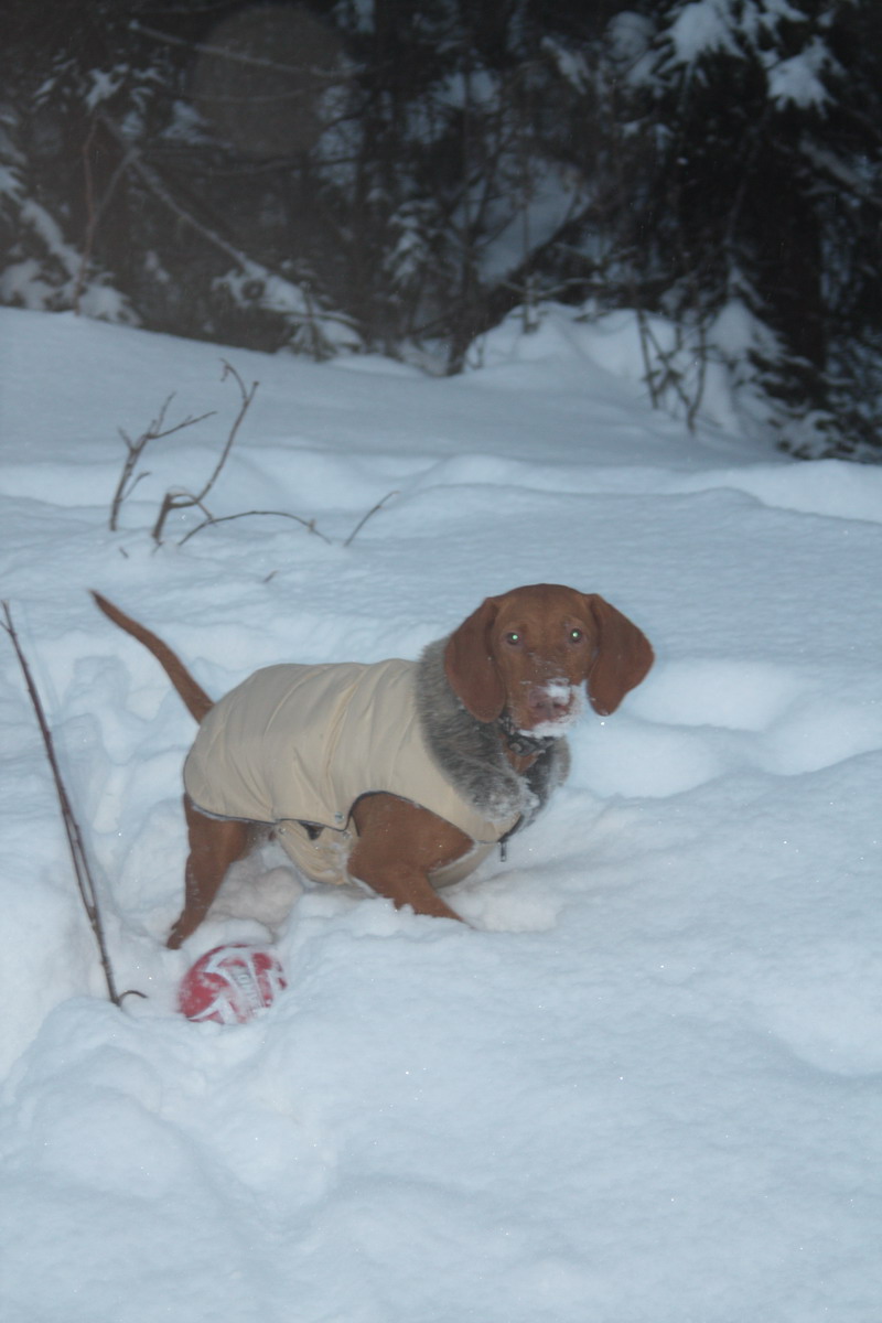 december 056.jpg