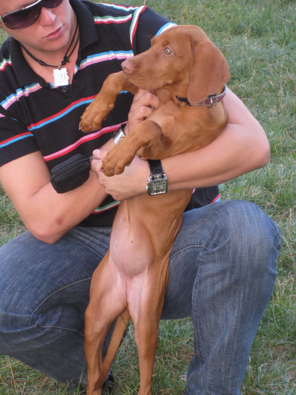 19.8.2008 011.jpg
