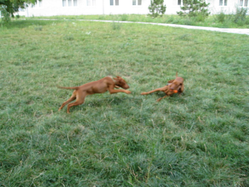 Maddy 023.jpg
