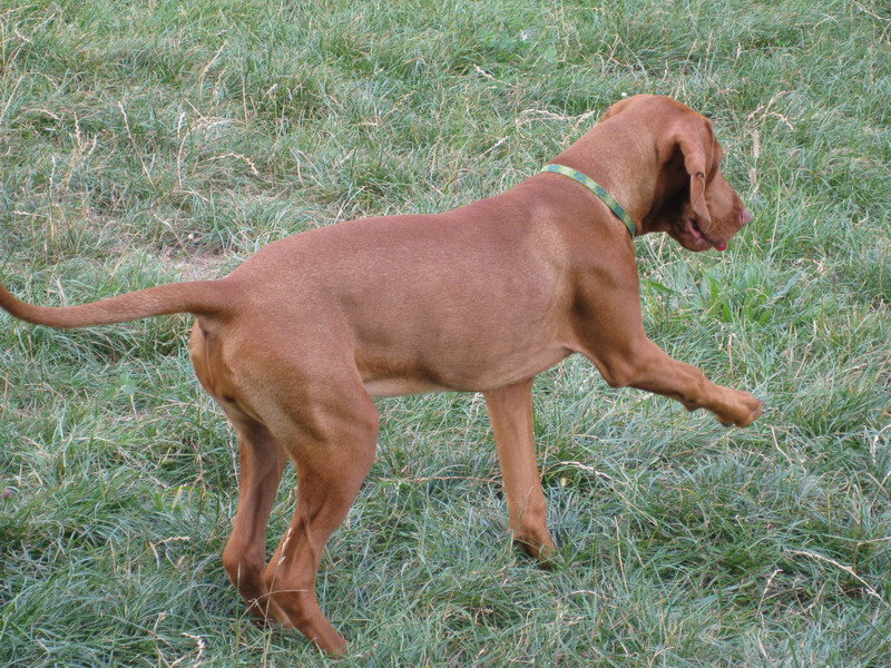 Maddy 028.jpg
