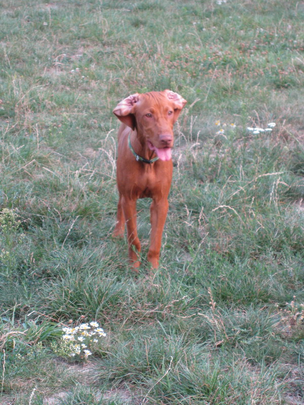 Maddy 033.jpg