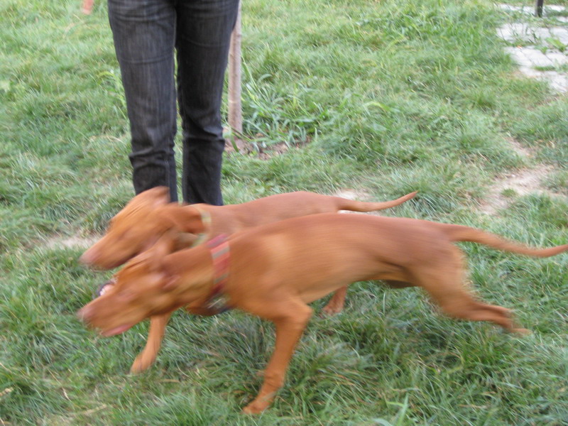 Maddy 041.jpg