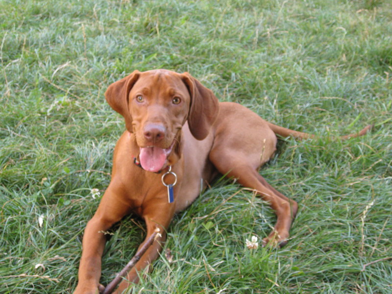 Maddy 048.jpg