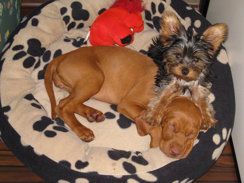 7.6.2008 001.jpg