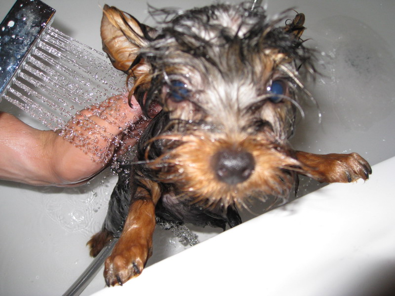 7.6.2008 048.jpg