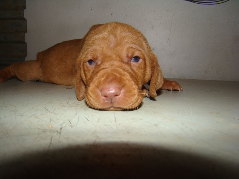 8.4.2008 009.jpg