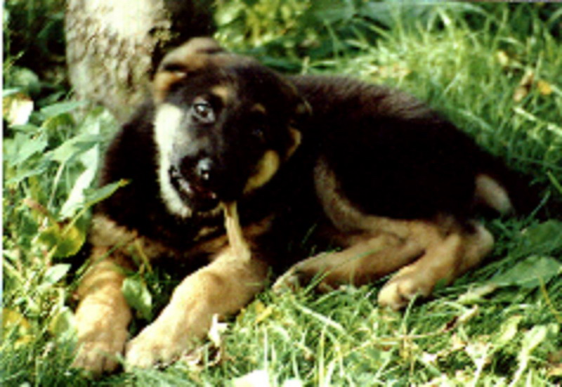 image002.jpg