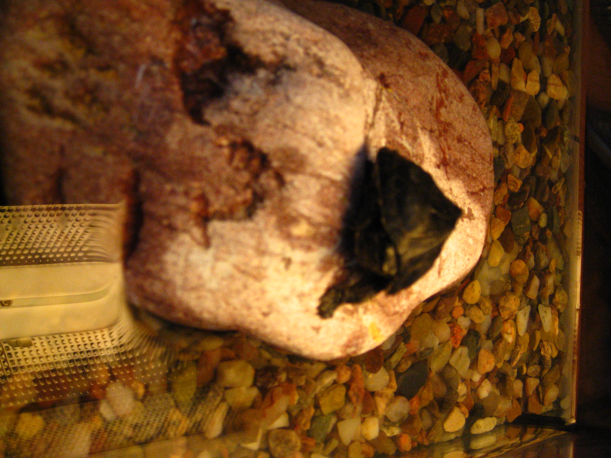 16.11.2008 011.jpg