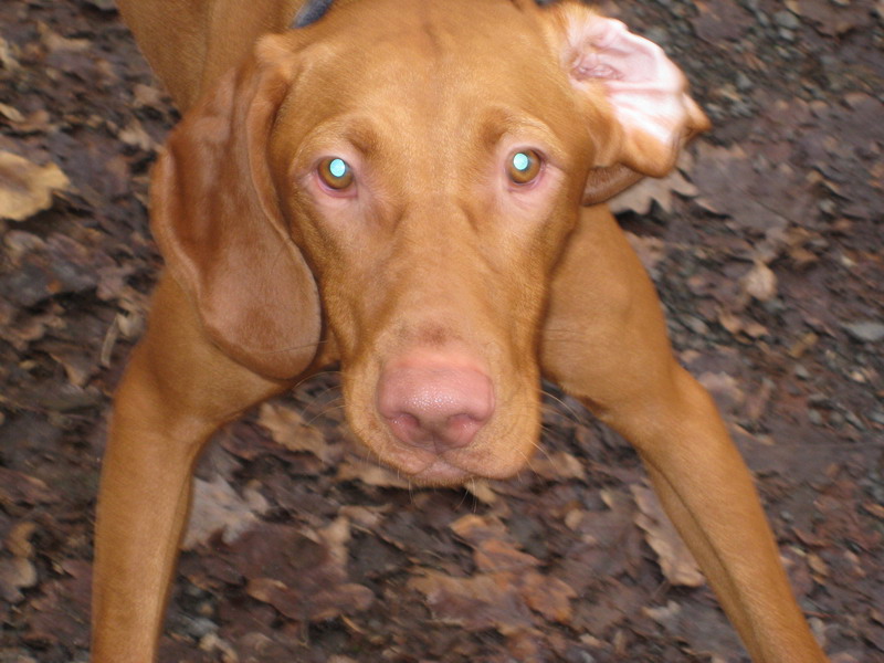 6.12.2008 022.jpg