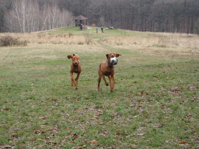 6.12.2008 025.jpg