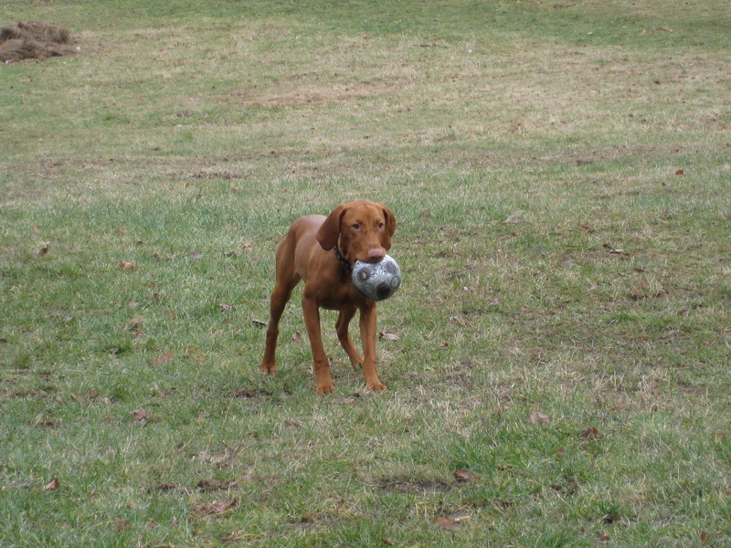 6.12.2008 040.jpg