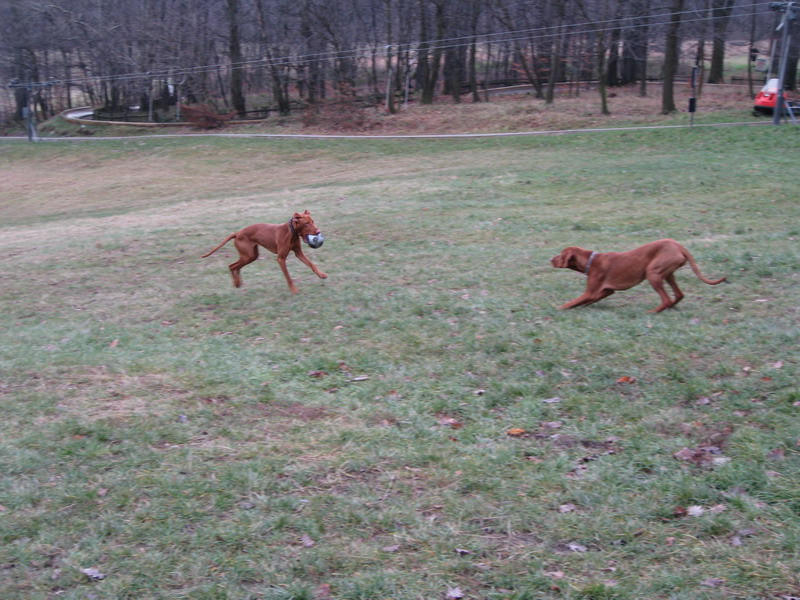 6.12.2008 042.jpg