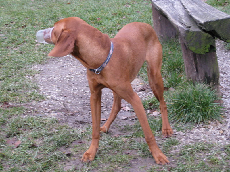 6.12.2008 062.jpg