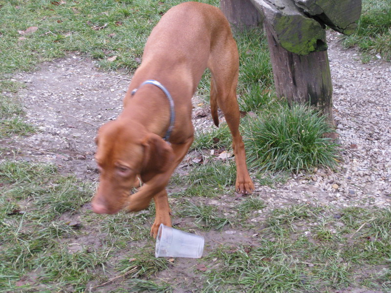 6.12.2008 063.jpg