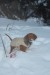 december 056.jpg