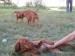 19.8.2008 027.jpg