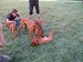 19.8.2008 054.jpg