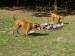Maddy 09.10.2008 039.jpg
