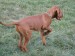 Maddy 029.jpg