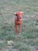 Maddy 033.jpg