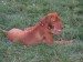 Maddy 035.jpg
