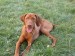 Maddy 048.jpg