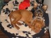 7.6.2008 001.jpg