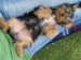 7.6.2008 040.jpg