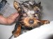 7.6.2008 048.jpg